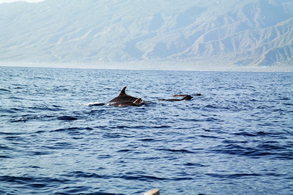 טג'אקולה Cili Emas Oceanside Resort מראה חיצוני תמונה
